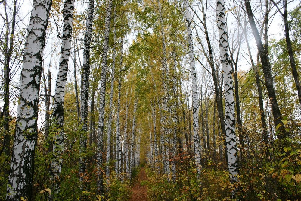 Photograph by Igor Kochkin