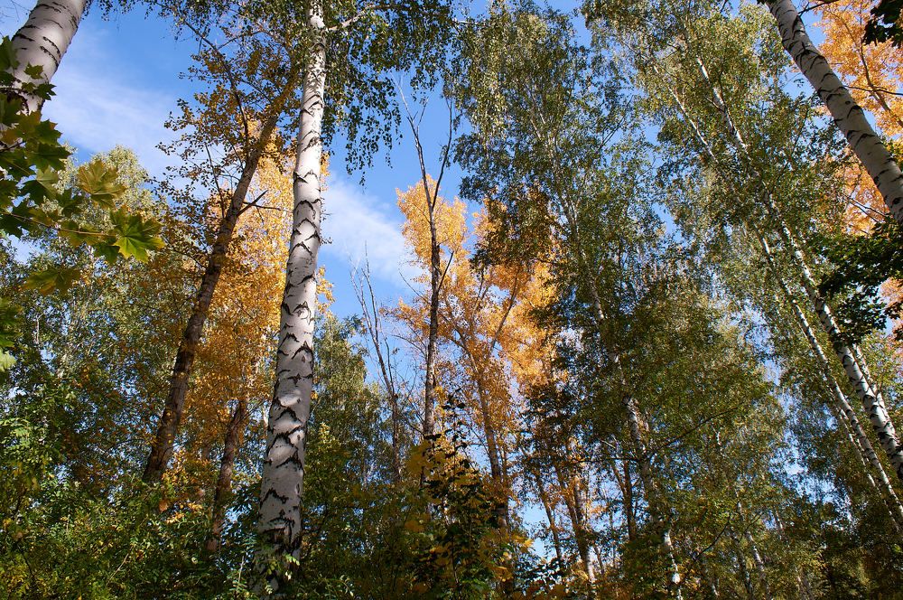 Photograph by Igor Kochkin