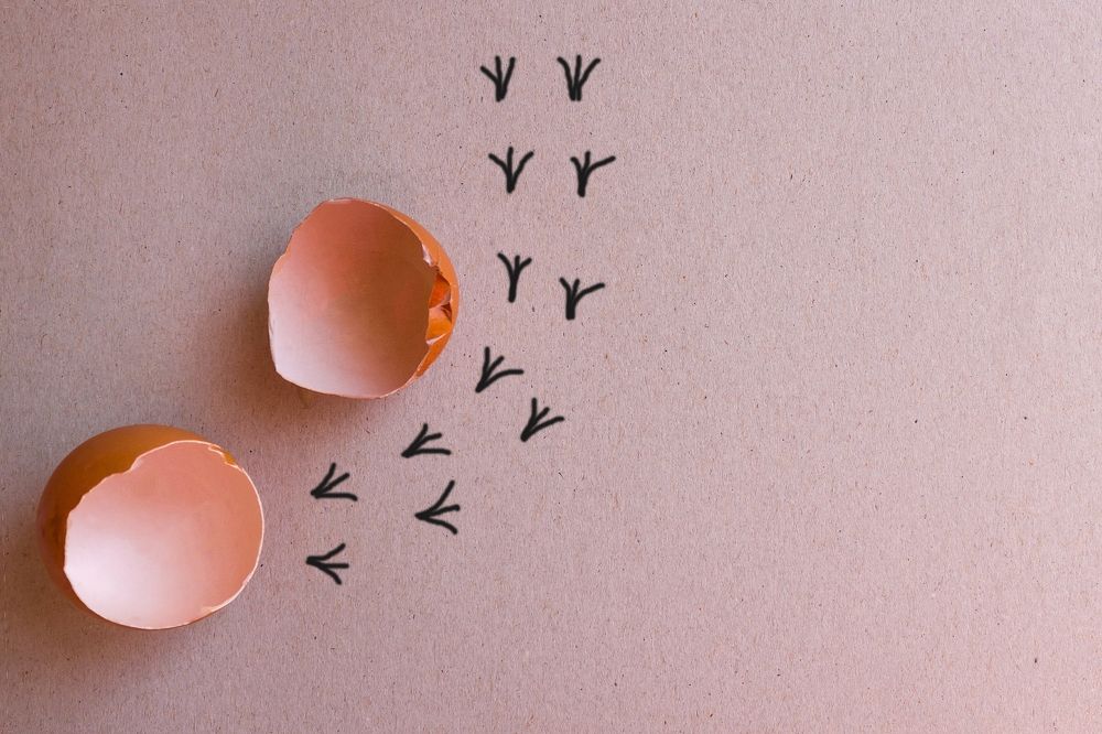 Photograph by Vera Kudriashova