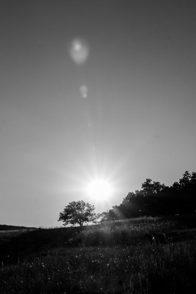 Photograph by Ирина Фатеева