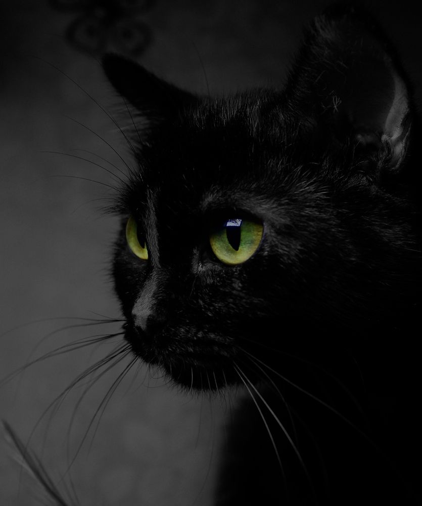 Photograph by Alina Kochneva