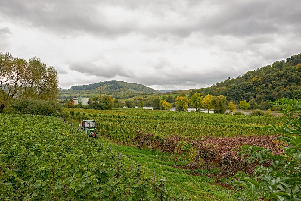 Photograph by Валерий