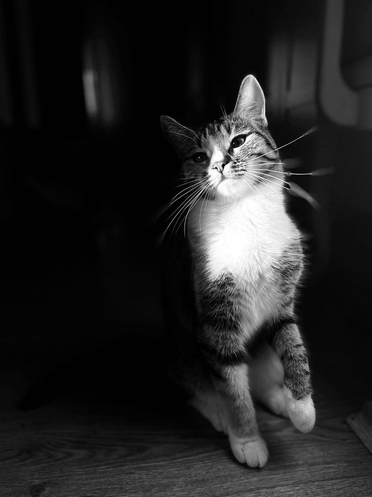Photograph by Мария Байбарина