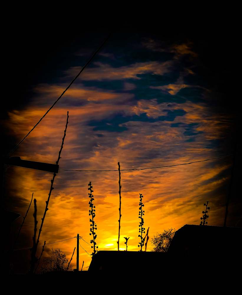 Photograph by Николай Яковлев