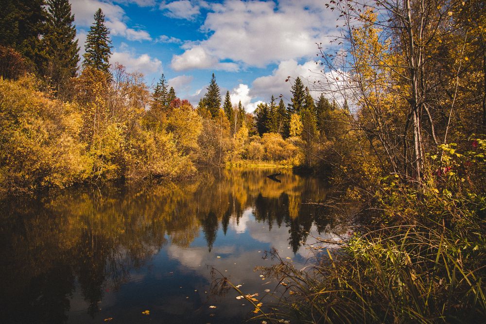 Photograph by Евгений Авдеев