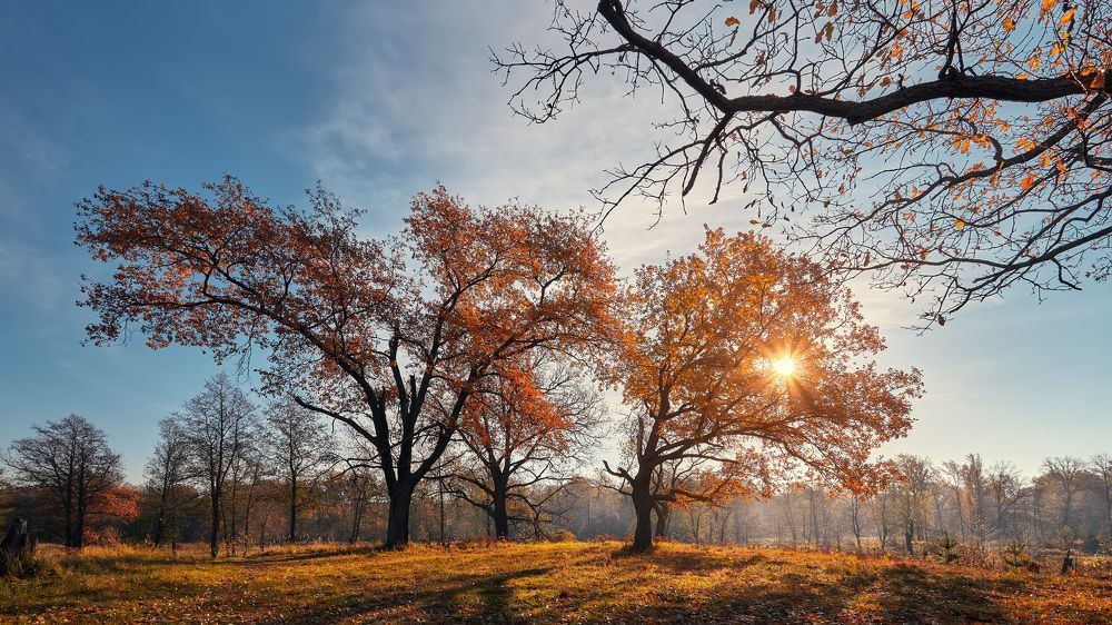 Photograph by Сергей Кочетов