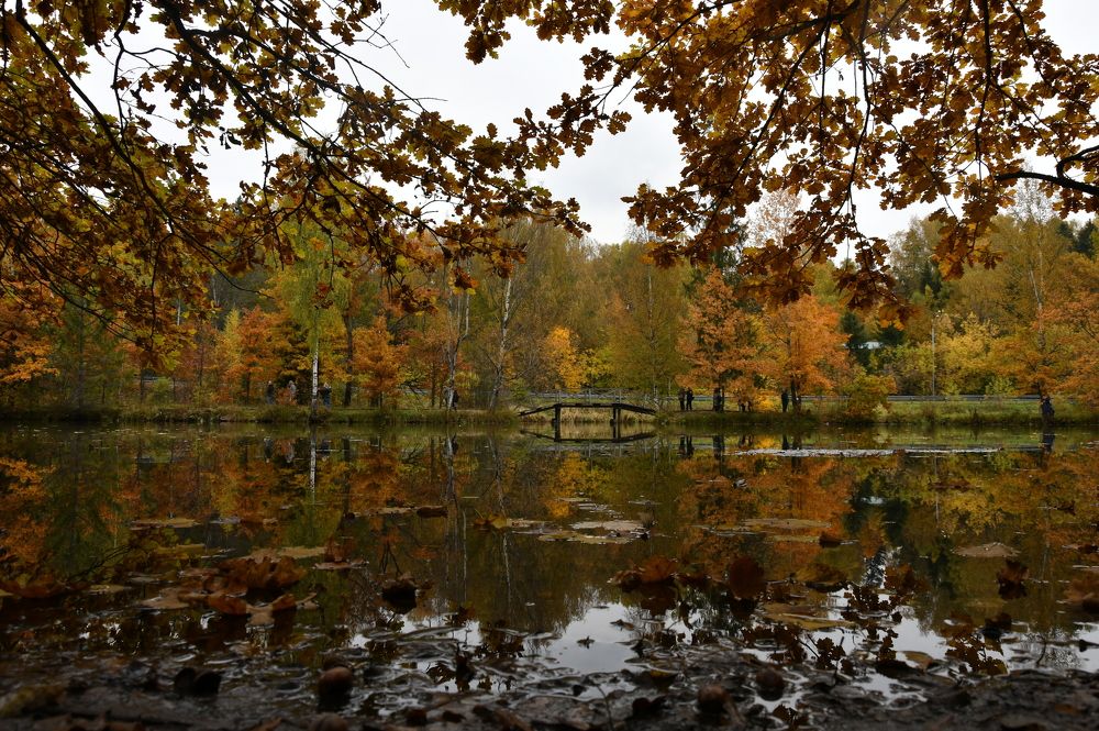 Photograph by Андрей Жуков