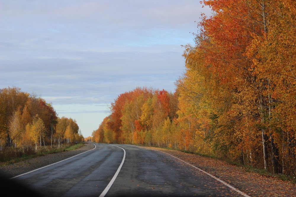 Photograph by Абрам Петерс