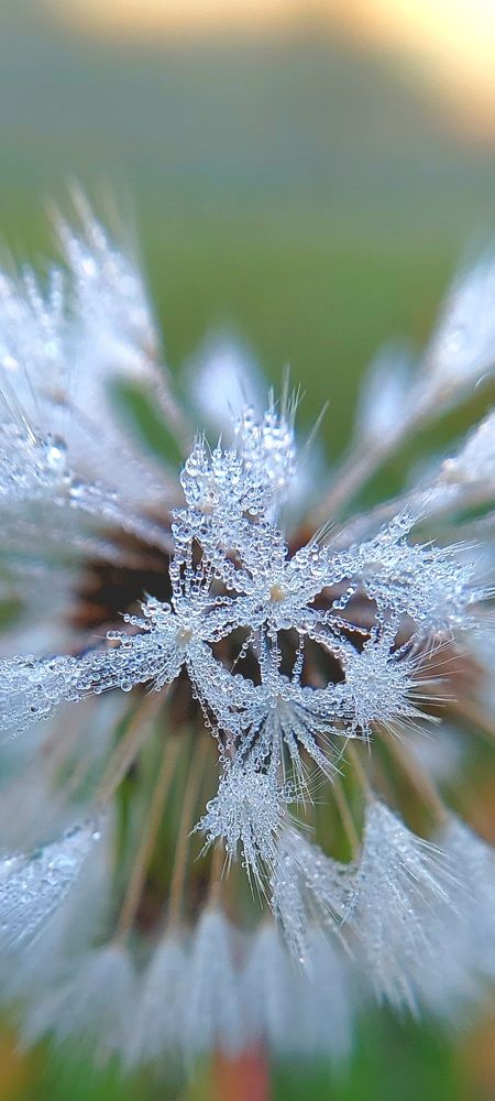 Фотография автора Сергей Можаев