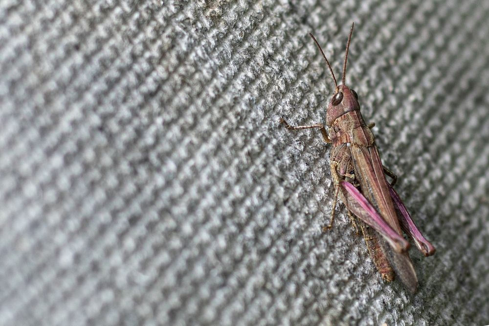 Photograph by Светлана Тарханова