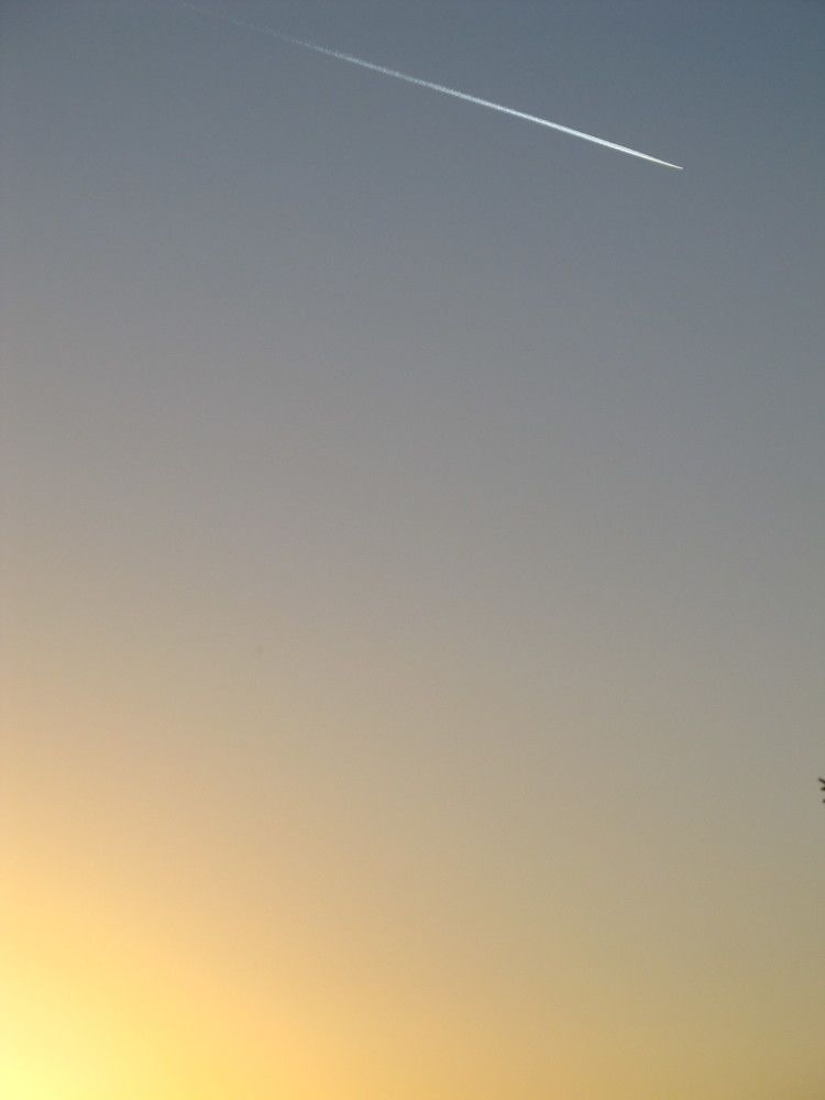 Photograph by Helen Seleznova