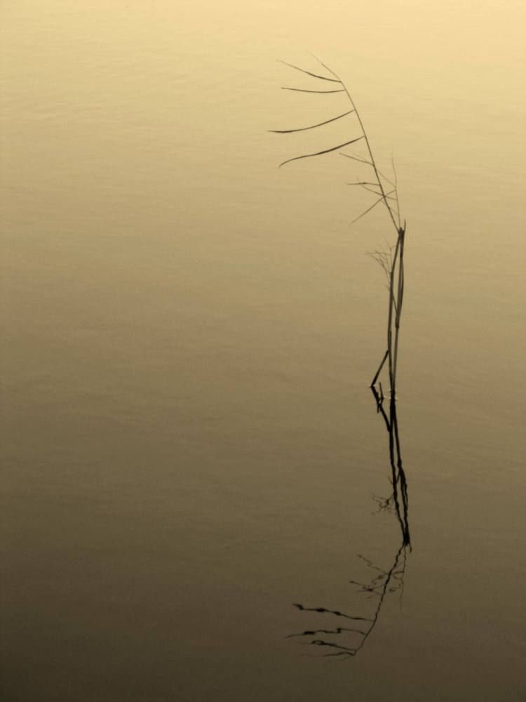 Photograph by Helen Seleznova