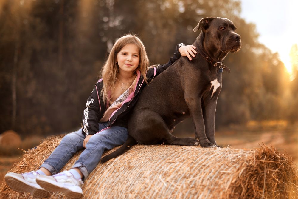 Фотография автора Елена Ушакова