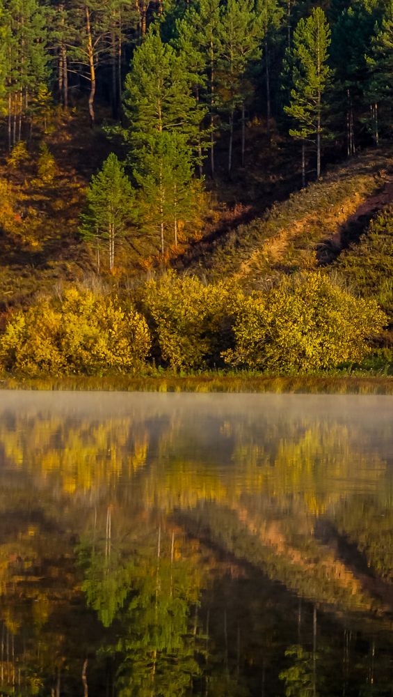 Photograph by Ольга Мурашева