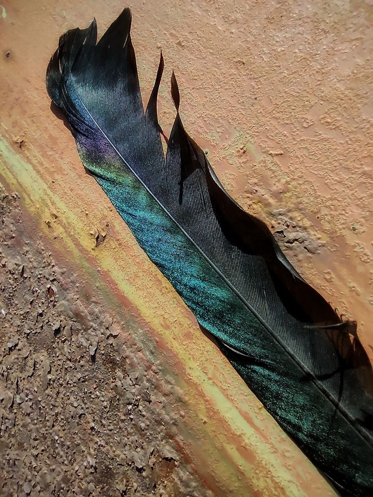 Photograph by Oksana