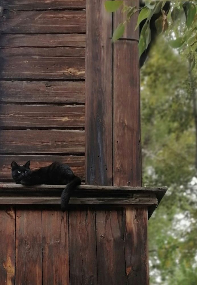 Photograph by Светлана Шелухеева