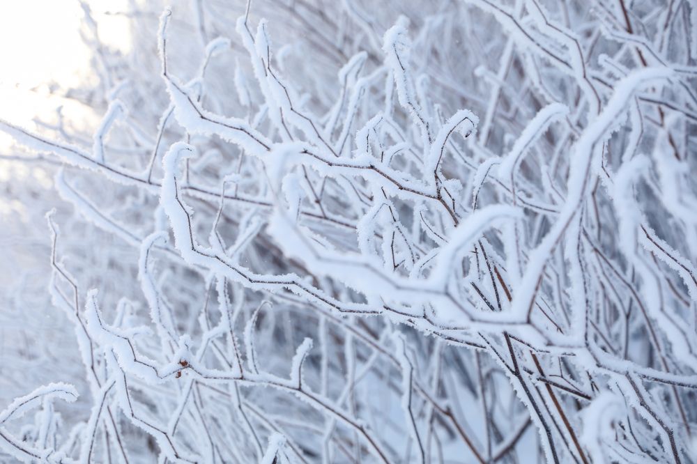 Photograph by Михаил Кинеев