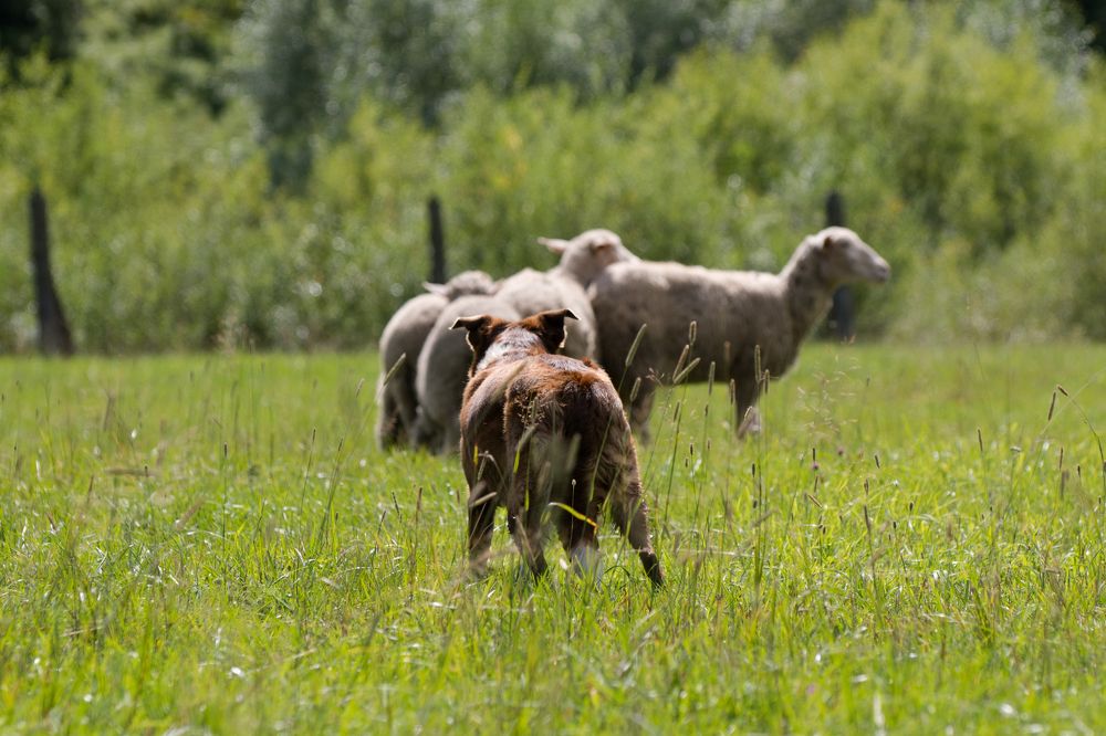 Photograph by Анастасия Фохт
