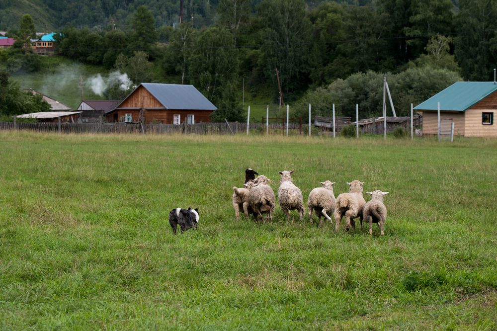 Photograph by Анастасия Фохт
