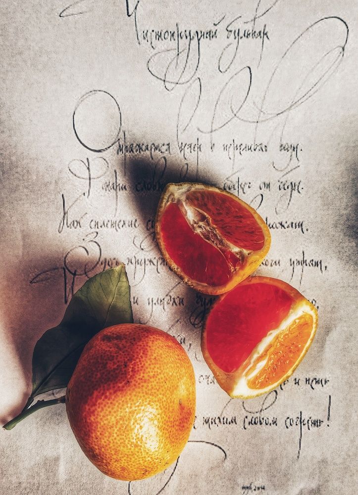 Photograph by Новикова Елена Сергеевна