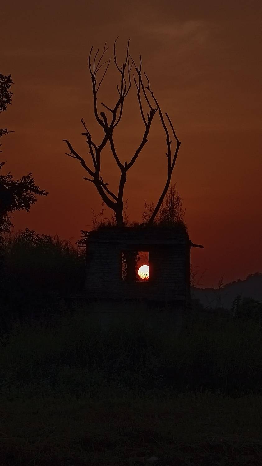 Photo #9621551