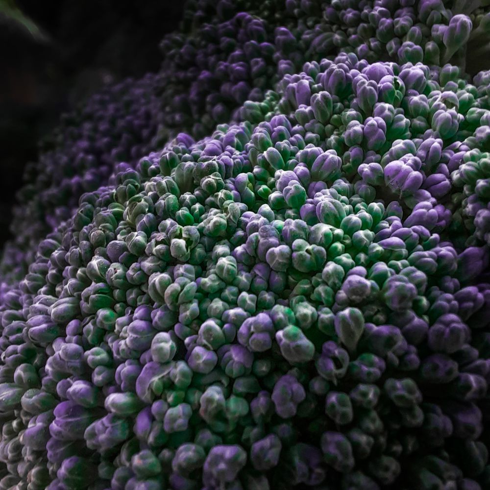 Photograph by Роман Бабин