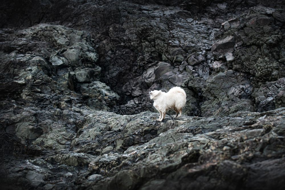 Photograph by Мария