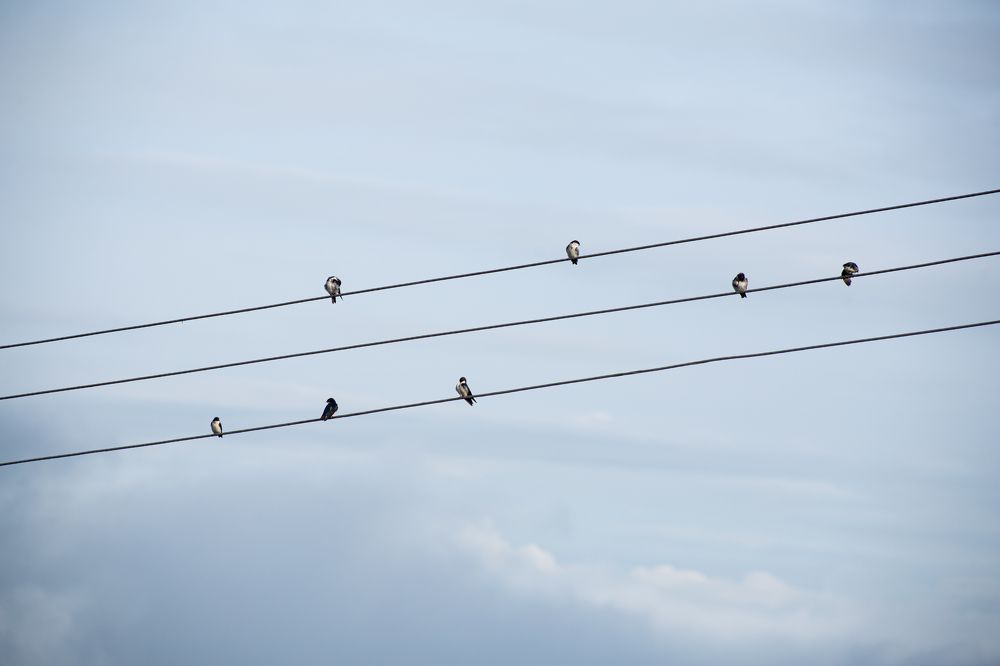 Photograph by Luis Manuel Jiménez Tabares