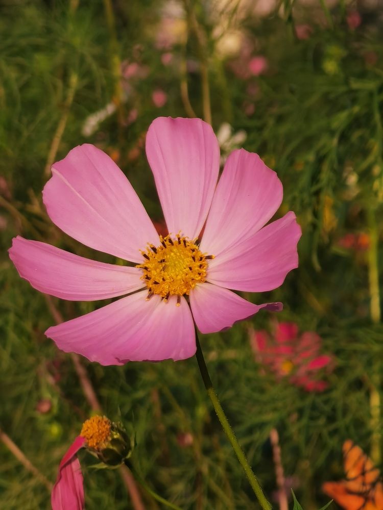 Photograph by Артур Нариманян