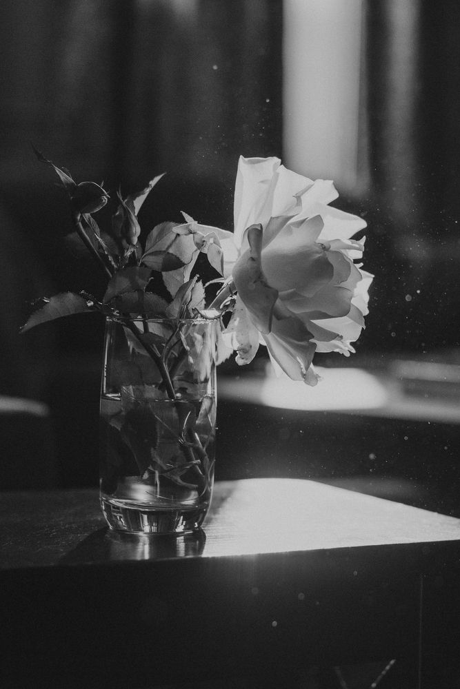 Photograph by Inna Ponomareva