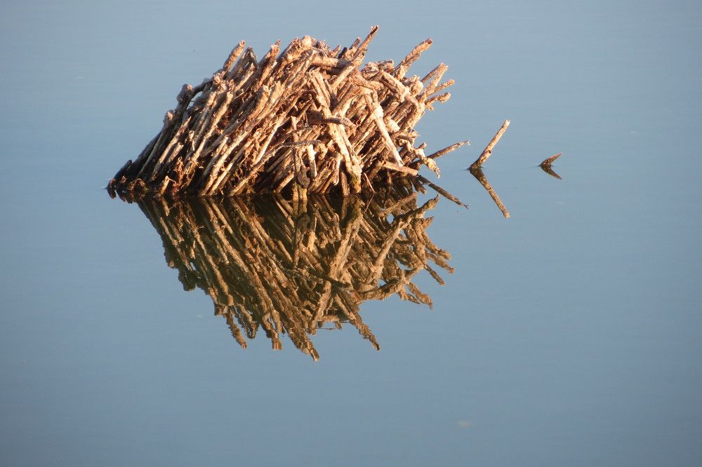 Photograph by Аркадова Елена