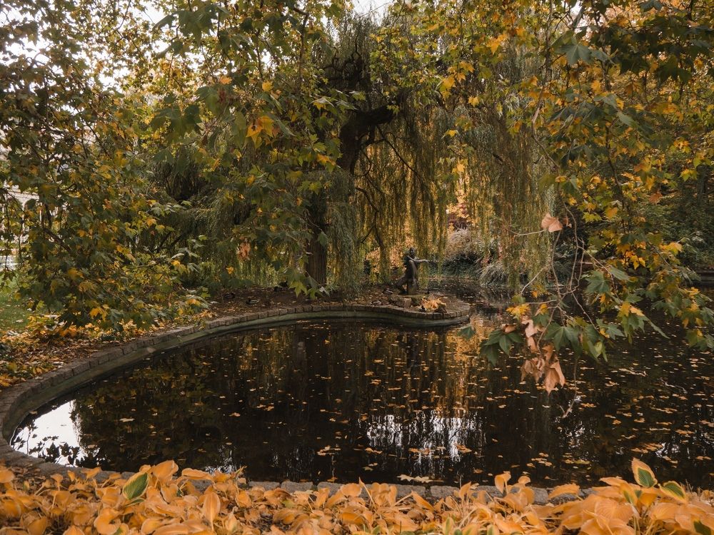 Photograph by Екатерина Вуколова