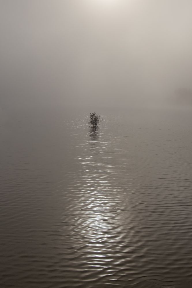 Photograph by Светлана Карнаух