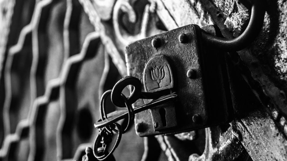 Фотография автора savitri Rawat