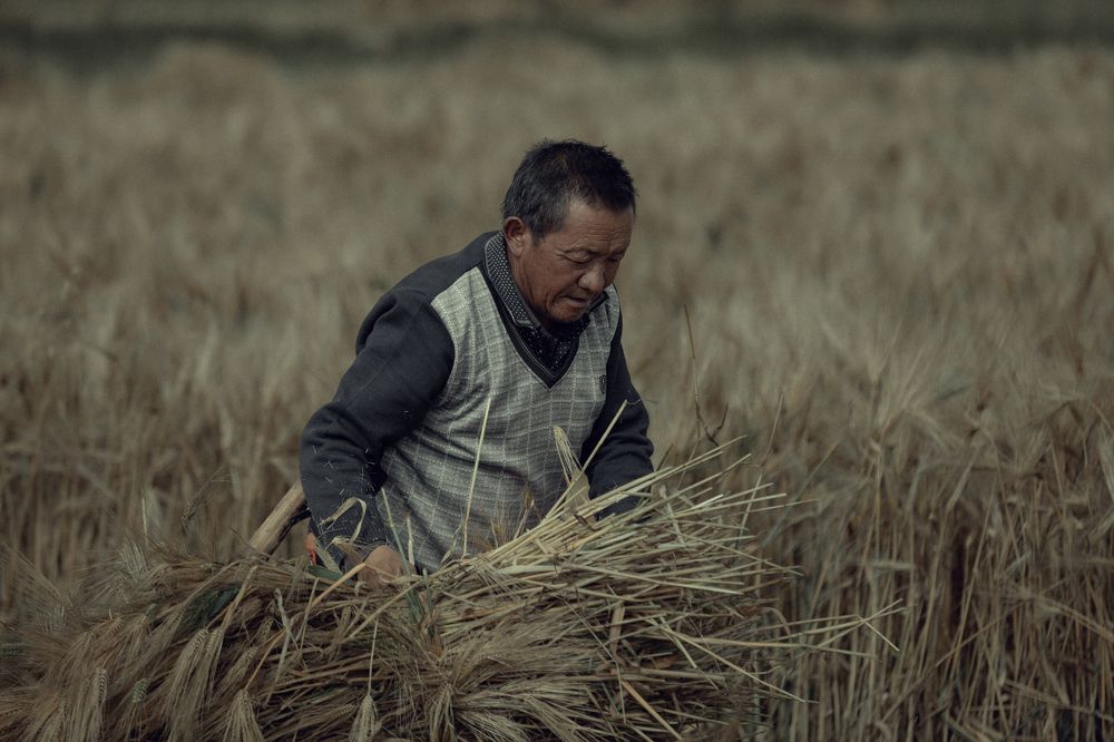 Photograph by 喻 子俊