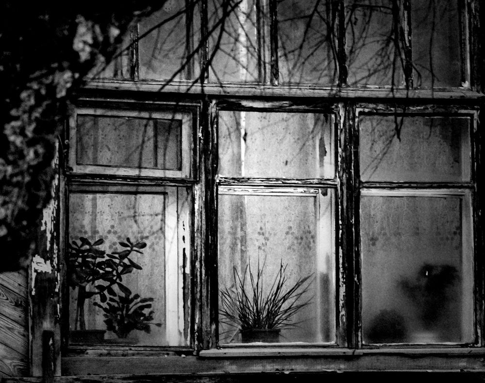 Photograph by Irina Luidinshina