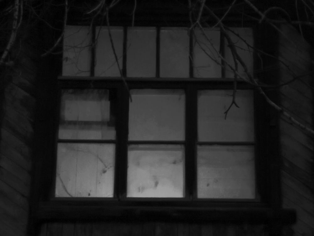 Photograph by Irina Luidinshina