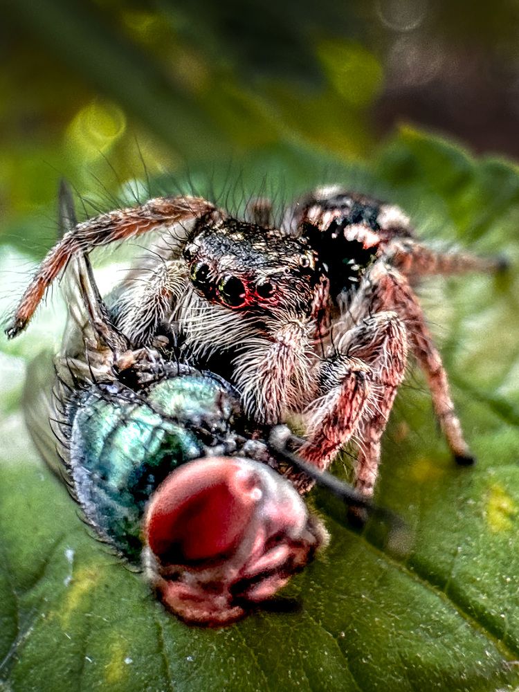 Photograph by Оксана Сафина