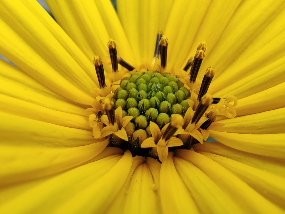 Photograph by Юрий Полушин