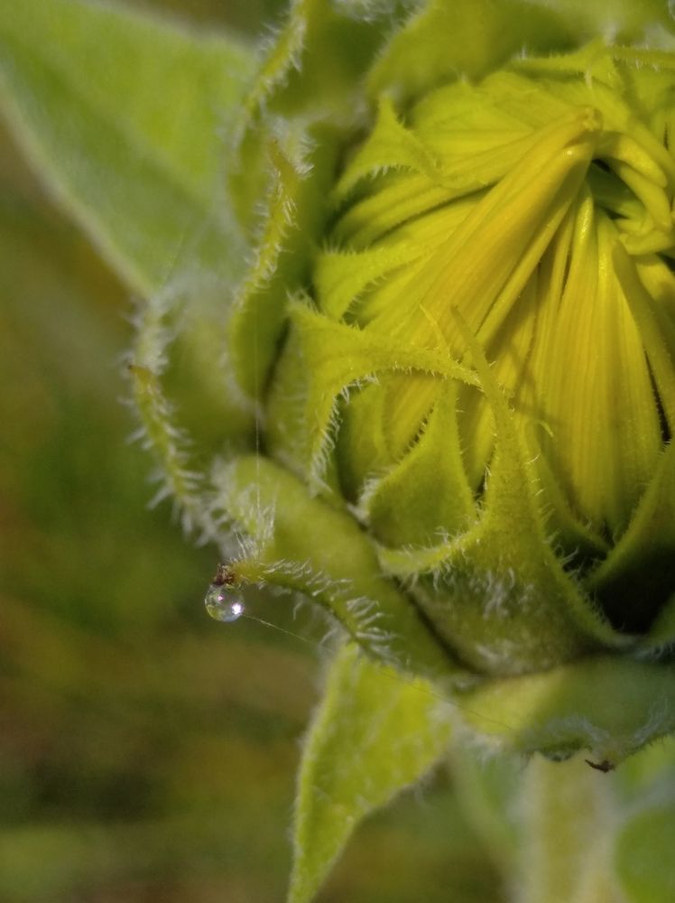 Photograph by Елена Коробченко