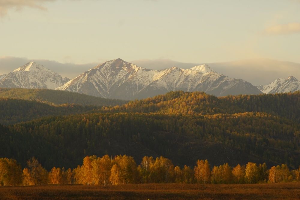 Photograph by Анастасия Скворцова
