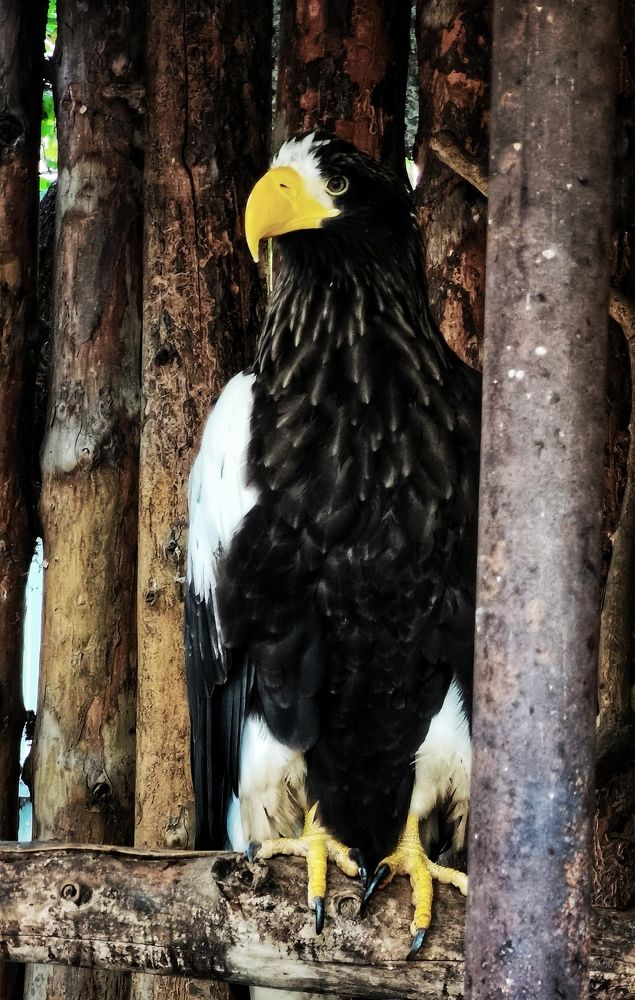 Photograph by Irina Luidinshina