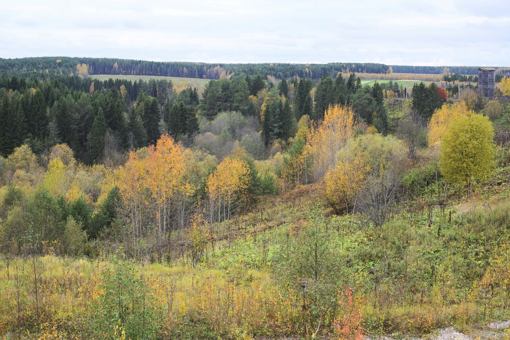 Photograph by Светлана Чебыкина