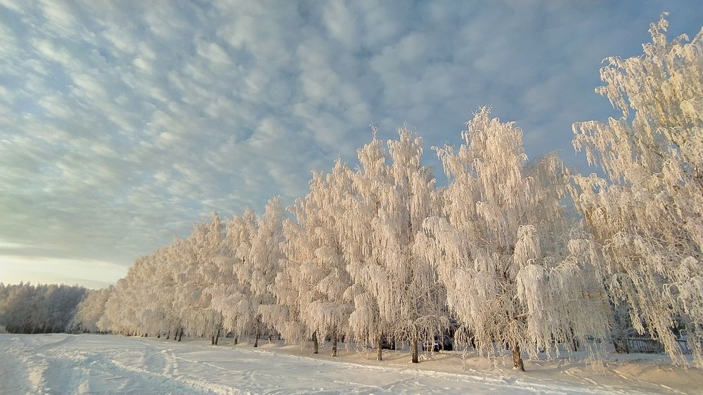 Белое на белом