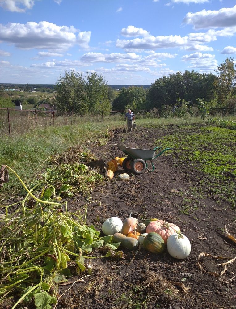 Photograph by Елена Коробченко