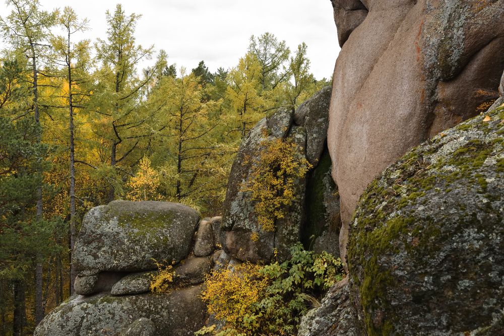 Photograph by Семен Батов