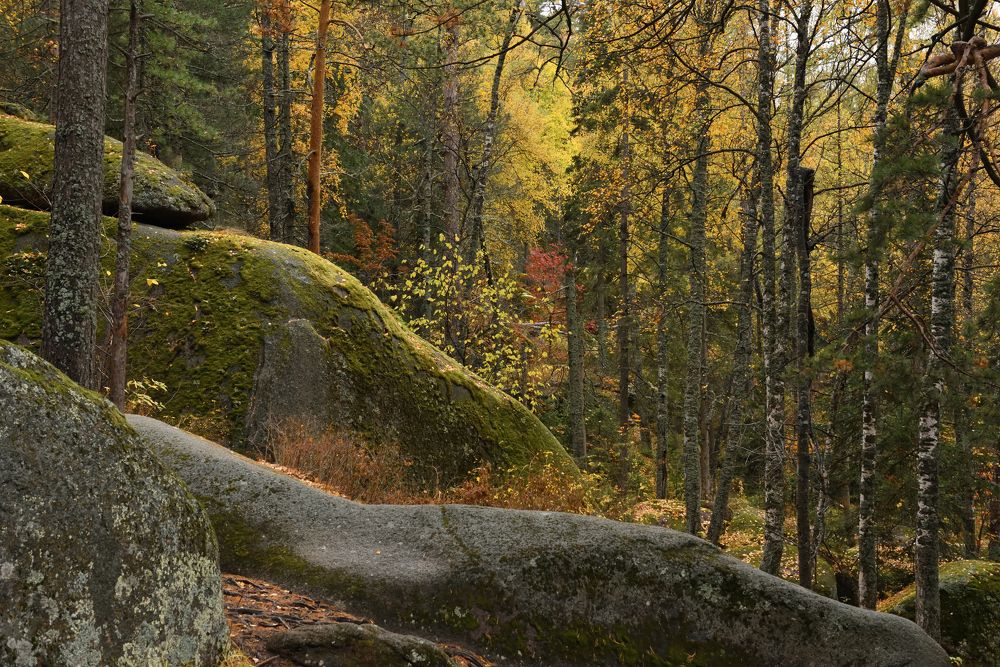 Photograph by Семен Батов