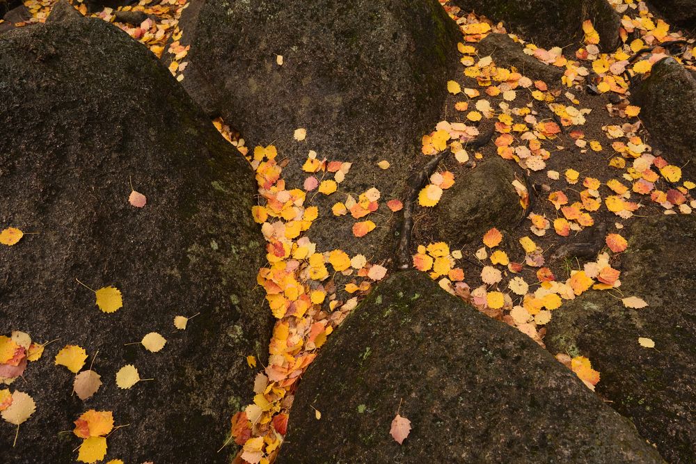 Photograph by Семен Батов