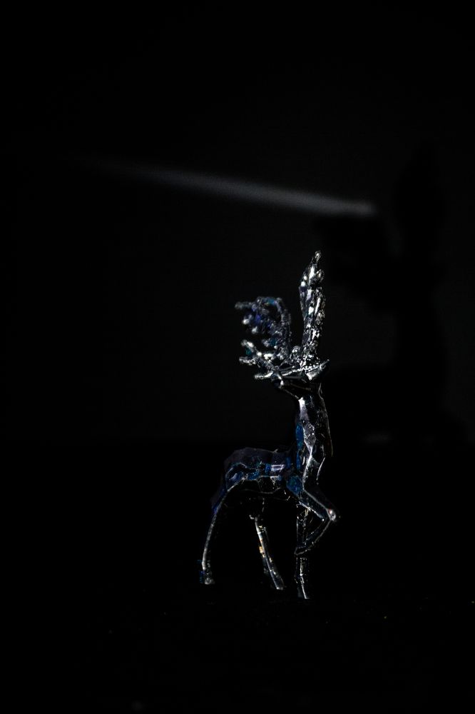 Photograph by Marina Moreva