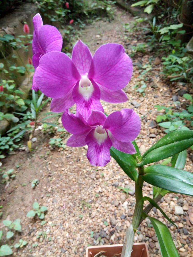 Photograph by Adrian valentine